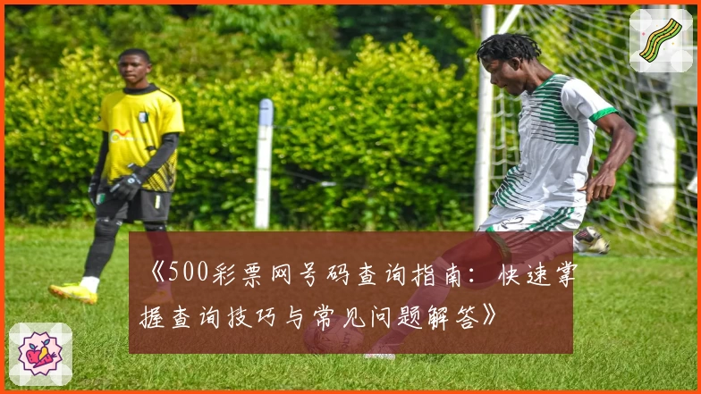 《500彩票网号码查询指南：快速掌握查询技巧与常见问题解答》