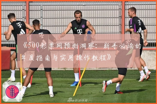 《500彩票网预测洞察：新手必读的年度指南与实用操作教程》