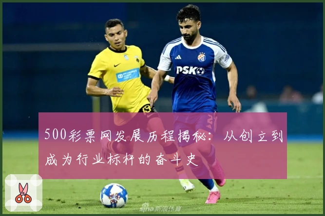 500彩票网发展历程揭秘：从创立到成为行业标杆的奋斗史