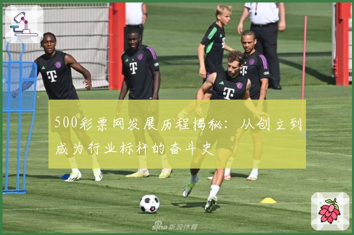 500彩票网发展历程揭秘：从创立到成为行业标杆的奋斗史