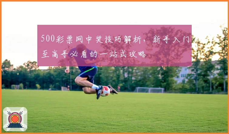 500彩票网中奖技巧解析，新手入门至高手必看的一站式攻略